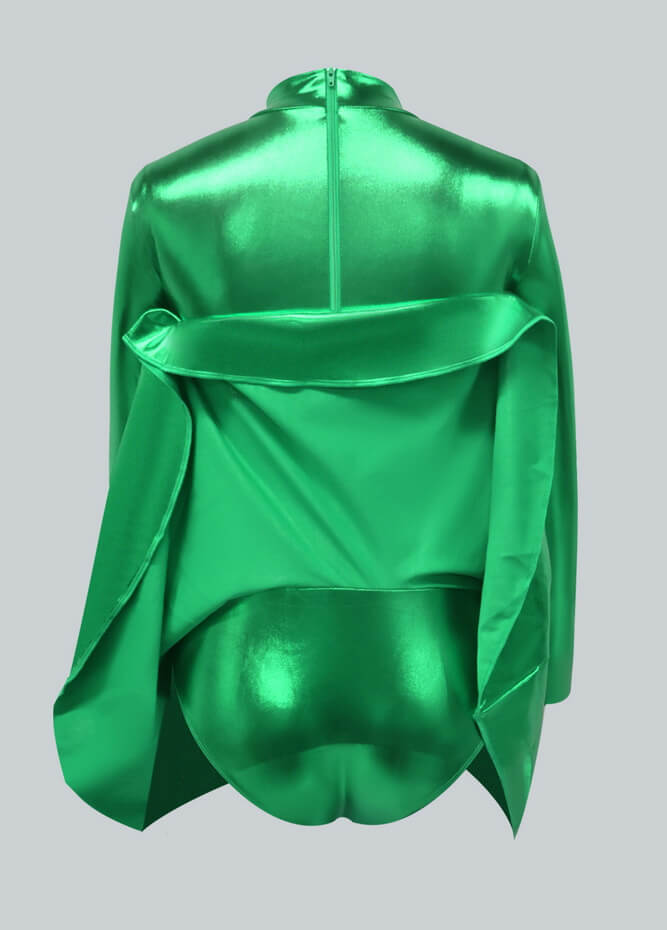 Long Sleeve Turtleneck Shiny Metallic A-Line Flared Dress